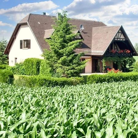 Appartement Charmant A Hochfelden 100 M² Et Parking Gratuit Gottesheim Εξωτερικό φωτογραφία
