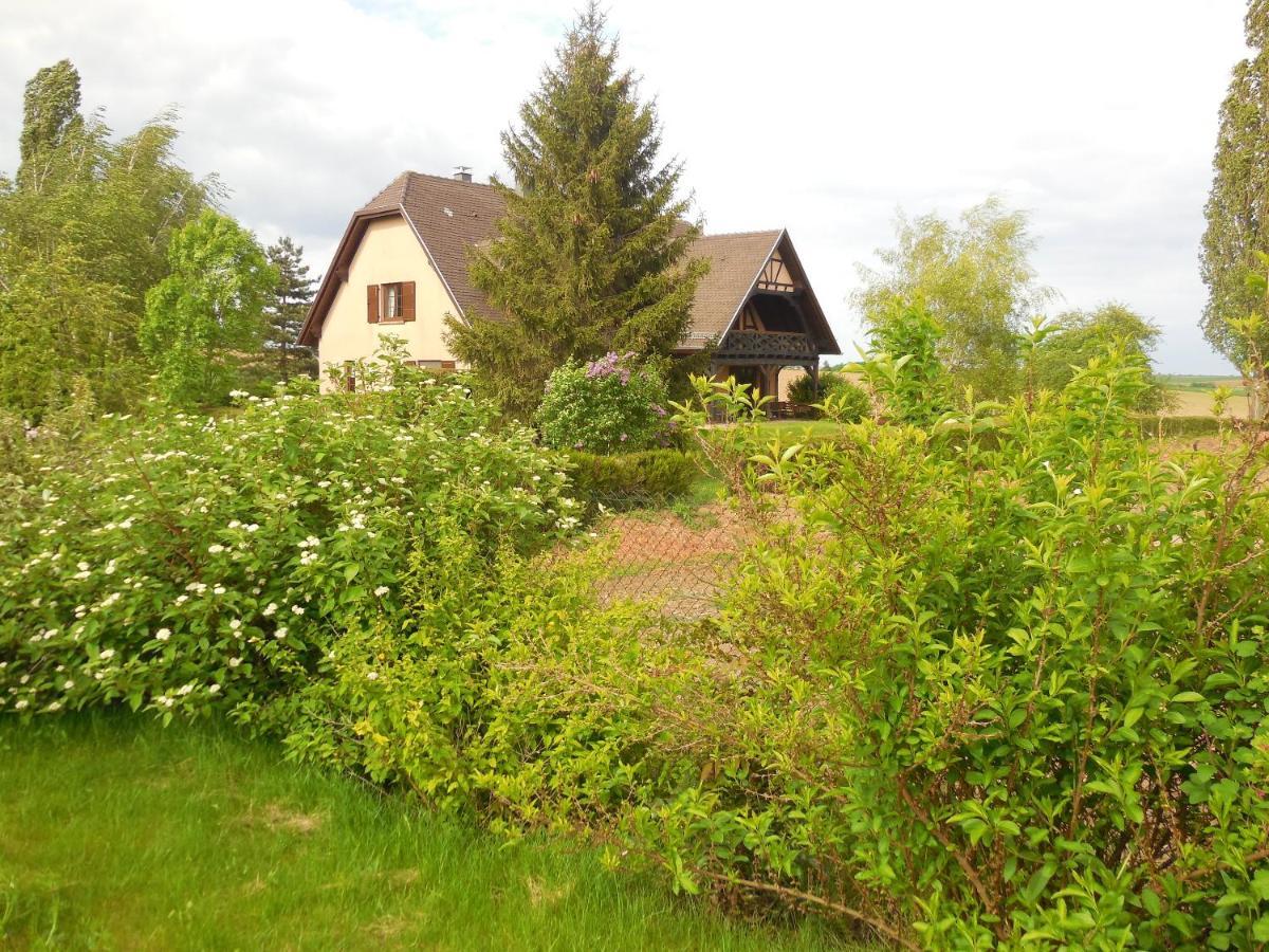 Appartement Charmant A Hochfelden 100 M² Et Parking Gratuit Gottesheim Εξωτερικό φωτογραφία